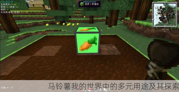 马铃薯我的世界中的多元用途及其探索