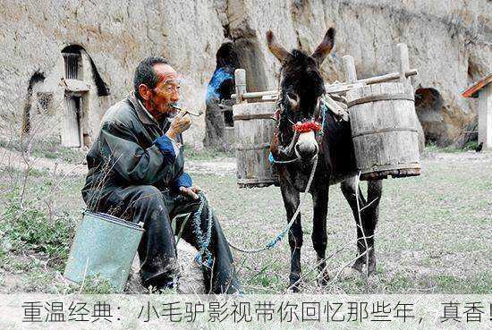 重温经典：小毛驴影视带你回忆那些年，真香！