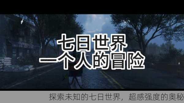 探索未知的七日世界，超感强度的奥秘