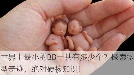 世界上最小的BB一共有多少个？探索微型奇迹，绝对硬核知识！
