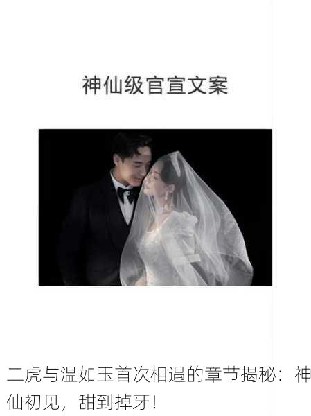 二虎与温如玉首次相遇的章节揭秘：神仙初见，甜到掉牙！