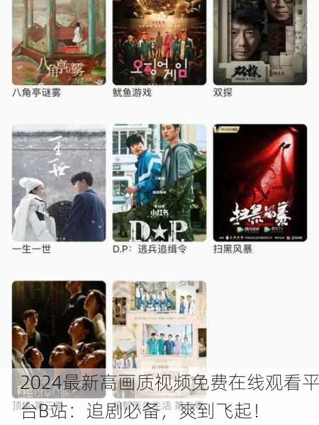 2024最新高画质视频免费在线观看平台B站：追剧必备，爽到飞起！