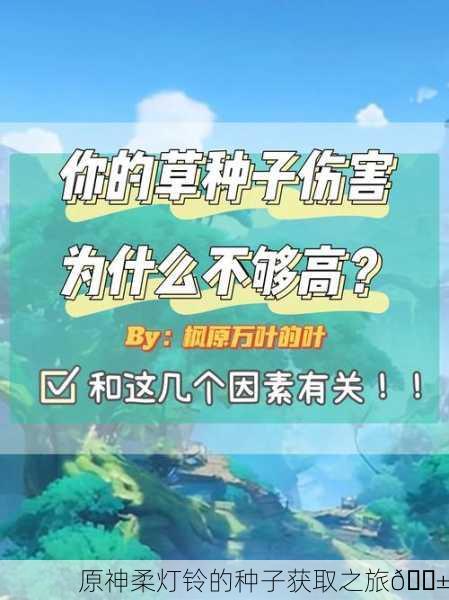 原神柔灯铃的种子获取之旅🌱