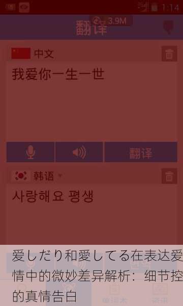 爱しだり和愛してる在表达爱情中的微妙差异解析：细节控的真情告白