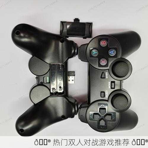 🎮 热门双人对战游戏推荐 🎮