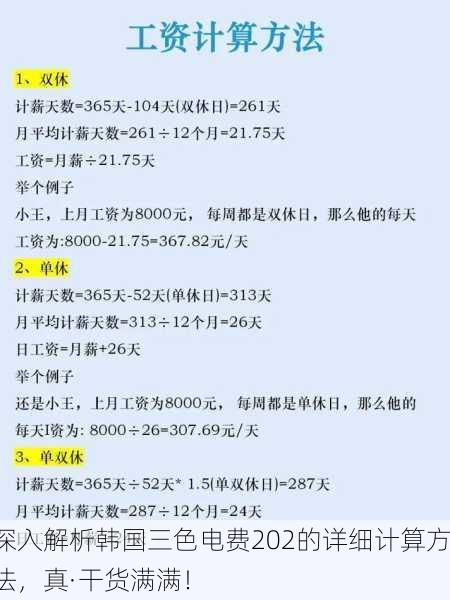 深入解析韩国三色电费202的详细计算方法，真·干货满满！