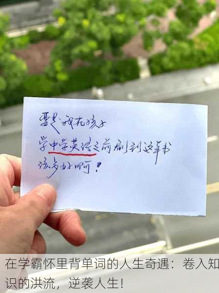 在学霸怀里背单词的人生奇遇：卷入知识的洪流，逆袭人生！