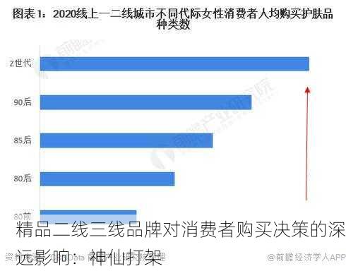 精品二线三线品牌对消费者购买决策的深远影响：神仙打架