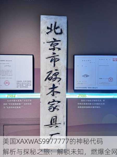 美国XAXWAS9977777的神秘代码解析与探秘之旅：解锁未知，燃爆全网