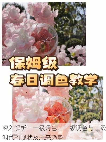 深入解析：一级调色、二级调色与三级调色的现状及未来趋势