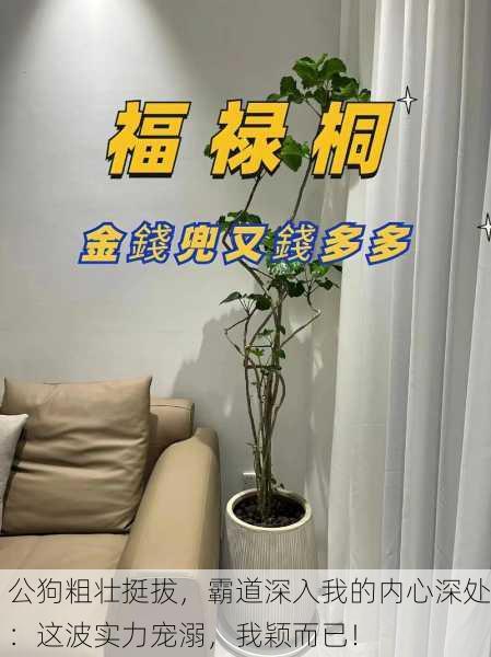 公狗粗壮挺拔，霸道深入我的内心深处：这波实力宠溺，我颖而已！