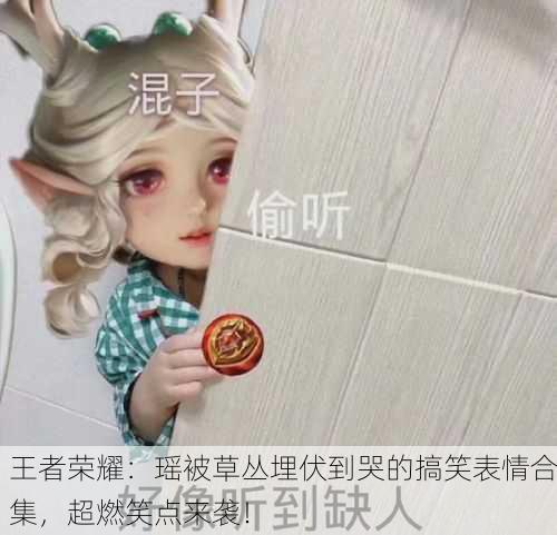王者荣耀：瑶被草丛埋伏到哭的搞笑表情合集，超燃笑点来袭！