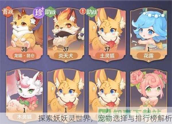 探索妖妖灵世界，宠物选择与排行榜解析
