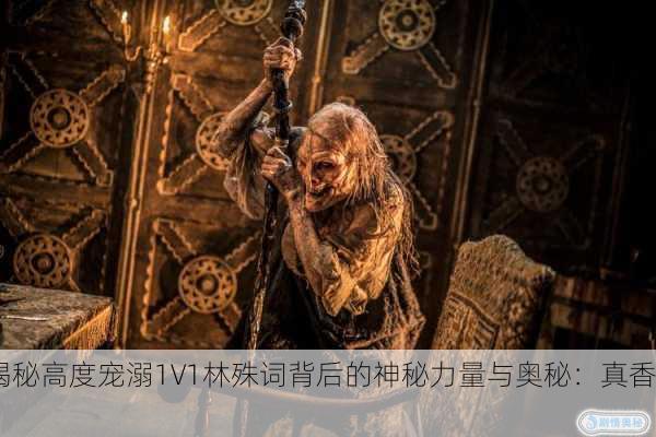 揭秘高度宠溺1V1林殊词背后的神秘力量与奥秘：真香！