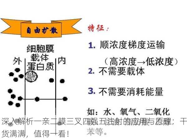 深入解析一亲二膜三叉四强五注射的应用与原理：干货满满，值得一看！
