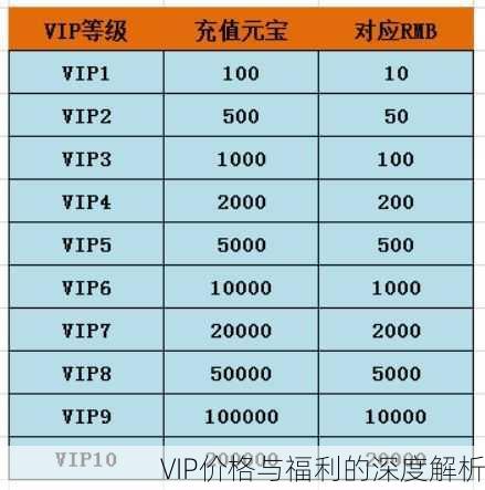 VIP价格与福利的深度解析