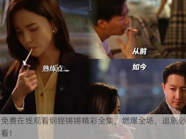 免费在线观看钢铿锵锵精彩全集，燃爆全场，追剧必看！
