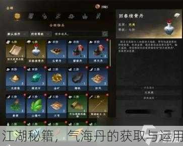 江湖秘籍，气海丹的获取与运用