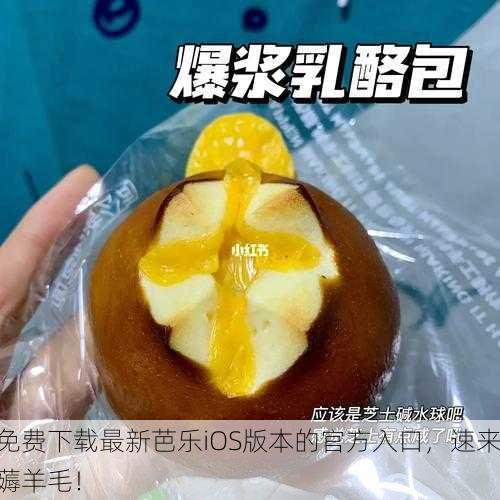 免费下载最新芭乐iOS版本的官方入口，速来薅羊毛！