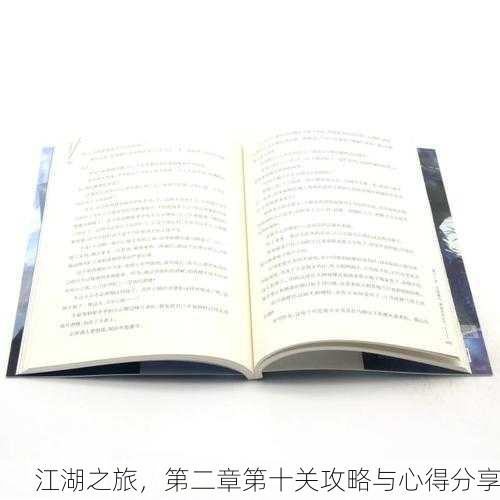 江湖之旅，第二章第十关攻略与心得分享