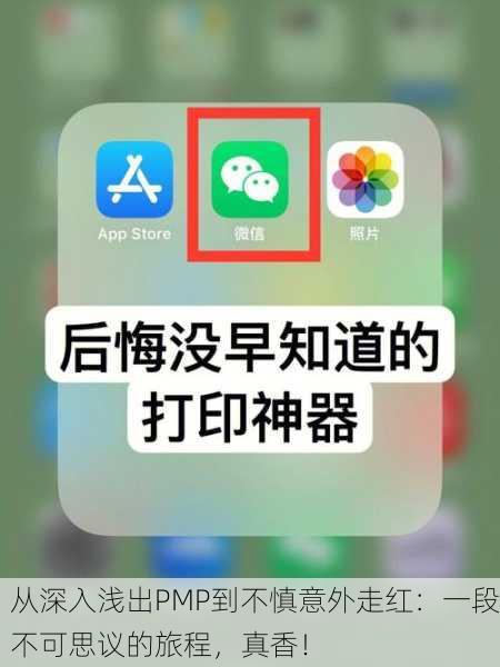 从深入浅出PMP到不慎意外走红：一段不可思议的旅程，真香！