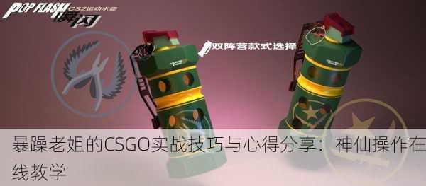 暴躁老姐的CSGO实战技巧与心得分享：神仙操作在线教学