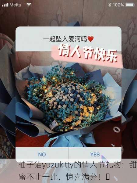 柚子猫yuzukitty的情人节礼物：甜蜜不止于此，惊喜满分！✨