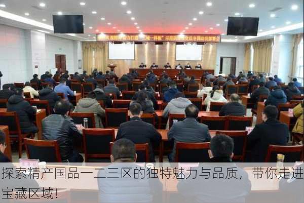 探索精产国品一二三区的独特魅力与品质，带你走进宝藏区域！