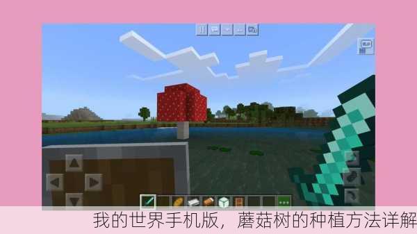 我的世界手机版，蘑菇树的种植方法详解