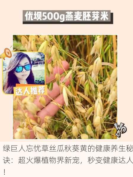 绿巨人忘忧草丝瓜秋葵黄的健康养生秘诀：超火爆植物界新宠，秒变健康达人！