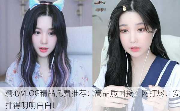 糖心VLOG精品免费推荐：高品质国货一网打尽，安排得明明白白！