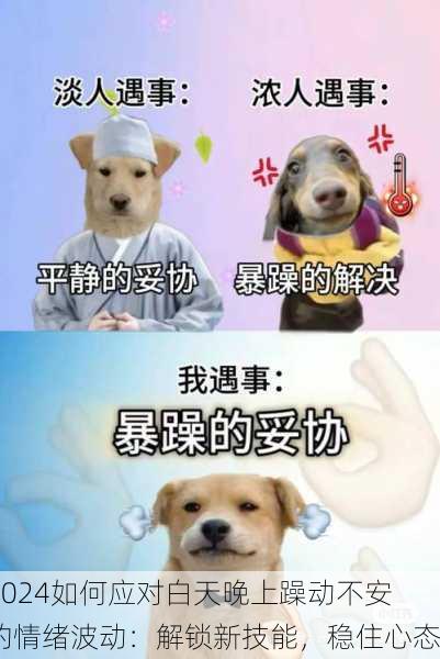 2024如何应对白天晚上躁动不安的情绪波动：解锁新技能，稳住心态
