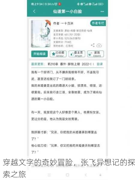 穿越文字的奇妙冒险，张飞异想记的探索之旅