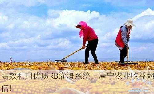 高效利用优质RB灌溉系统，唐宁农业收益翻倍！