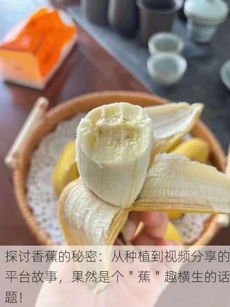 探讨香蕉的秘密：从种植到视频分享的平台故事，果然是个＂蕉＂趣横生的话题！