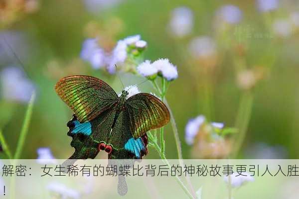 解密：女生稀有的蝴蝶比背后的神秘故事更引人入胜！