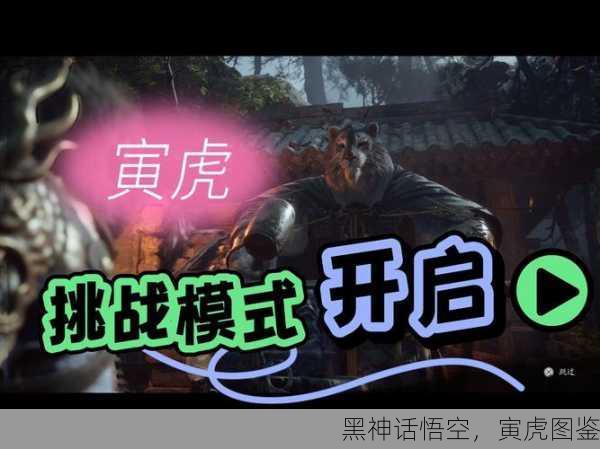 黑神话悟空，寅虎图鉴