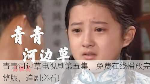 青青河边草电视剧第五集，免费在线播放完整版，追剧必看！