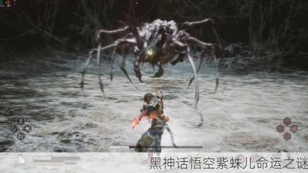 黑神话悟空紫蛛儿命运之谜