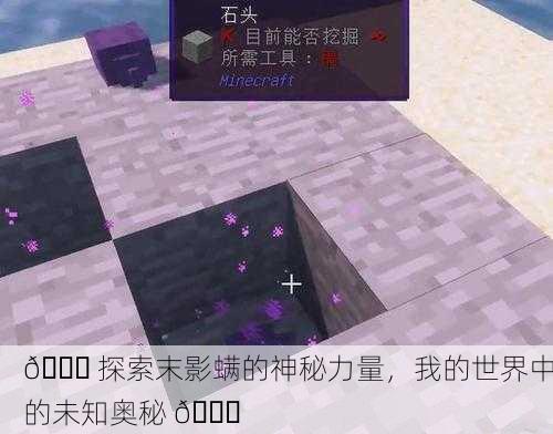 🌌 探索末影螨的神秘力量，我的世界中的未知奥秘 🔍