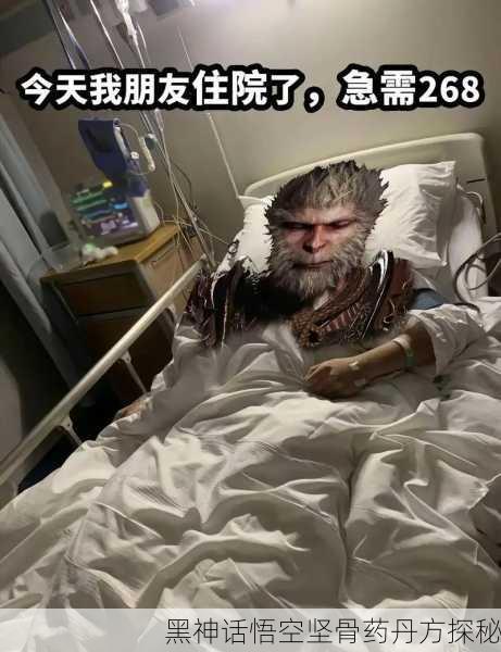 黑神话悟空坚骨药丹方探秘