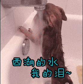 一动就有水样分泌物出现的原因与应对方法，这也太真实了吧？！