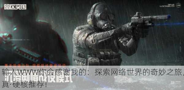 输入WWW你会感谢我的：探索网络世界的奇妙之旅，真·硬核推荐！