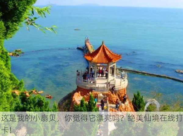 这是我的小扇贝，你觉得它漂亮吗？绝美仙境在线打卡！