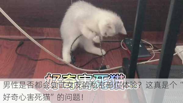男性是否都会尝试女友的私密部位体验？这真是个“好奇心害死猫”的问题！