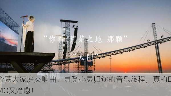 游荡大家庭交响曲：寻觅心灵归途的音乐旅程，真的EMO又治愈！