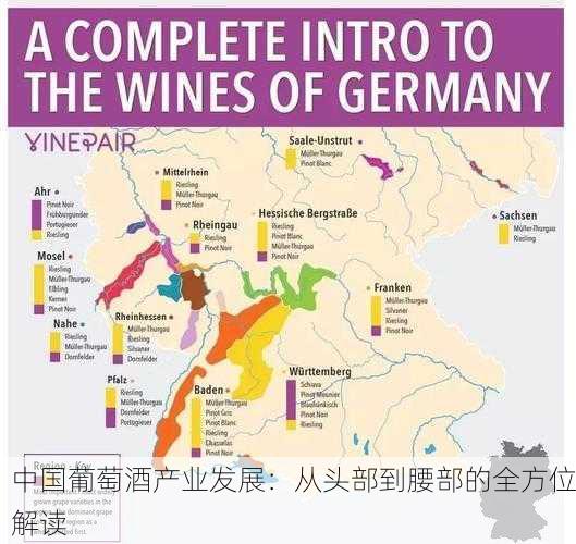 中国葡萄酒产业发展：从头部到腰部的全方位解读