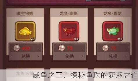 咸鱼之王，探秘鱼珠的获取之道