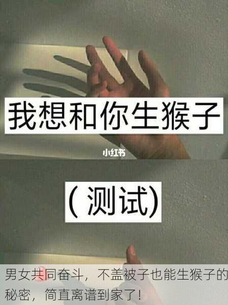 男女共同奋斗，不盖被子也能生猴子的秘密，简直离谱到家了！