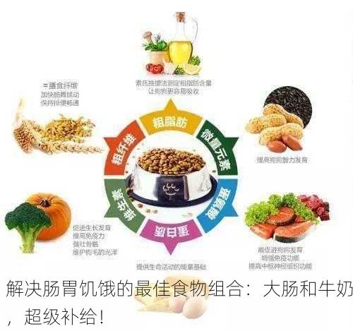 解决肠胃饥饿的最佳食物组合：大肠和牛奶，超级补给！